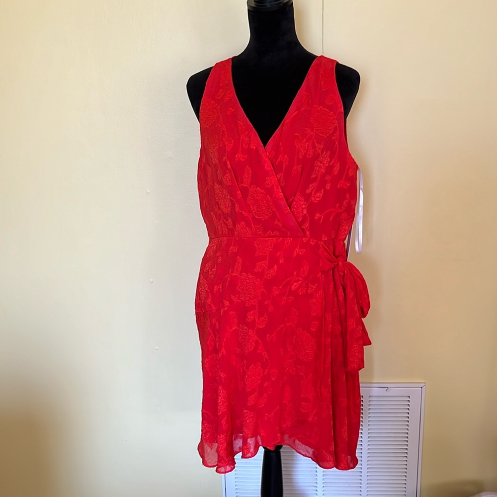 NWT Premier Amour Dress